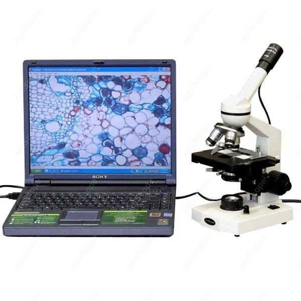 AmScope M600 Series Student Mo - Microscope Compound 40X recension och pris