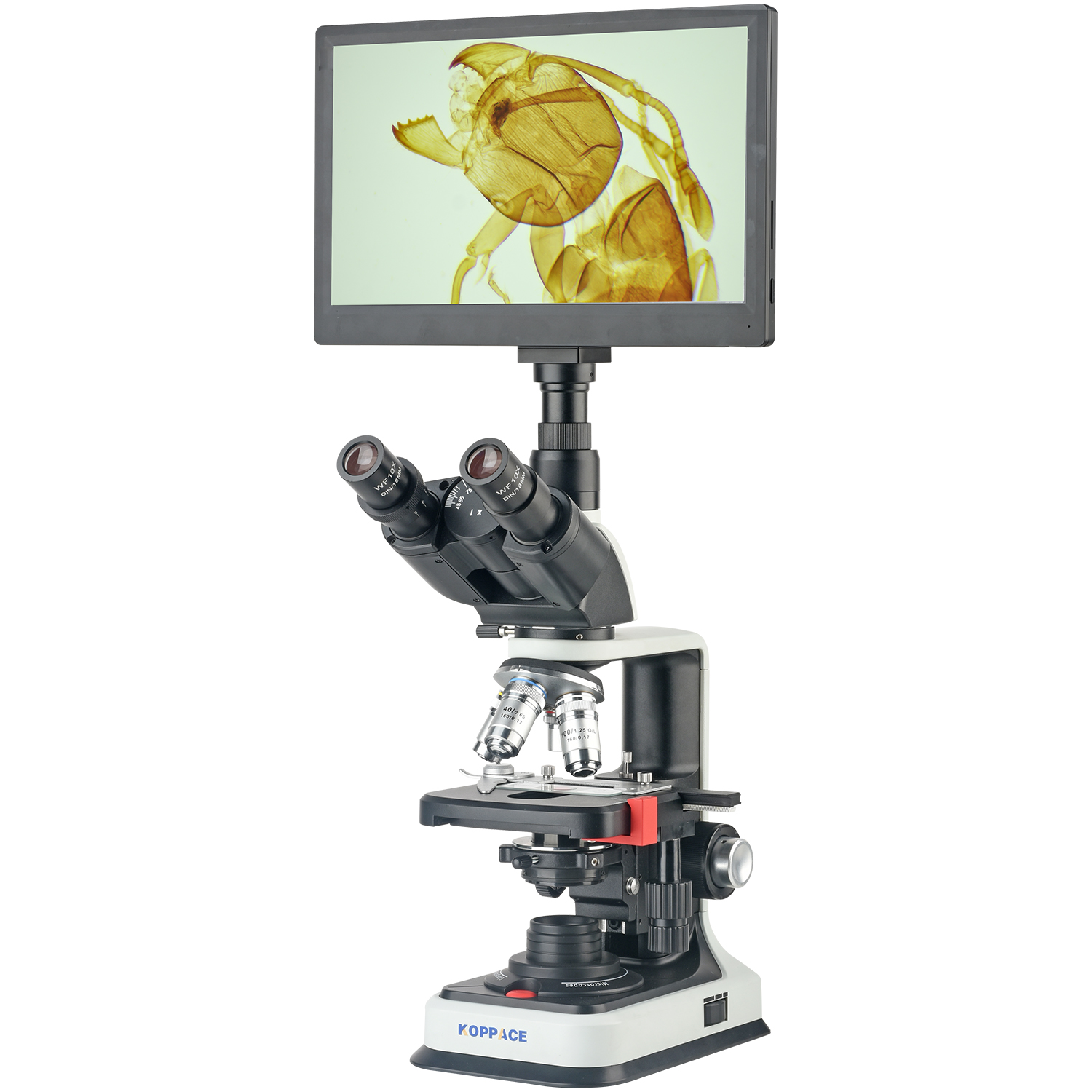 KOPPACE 40X-2500X Electron Com - Microscope Compound 40X recension och pris