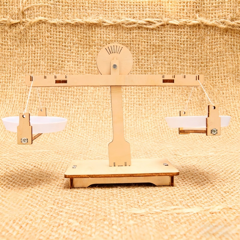 Wooden DIY Balance Scales Asse - Science Project Physics recension och pris